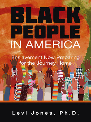 cover image of BLACK PEOPLE IN AMERICA